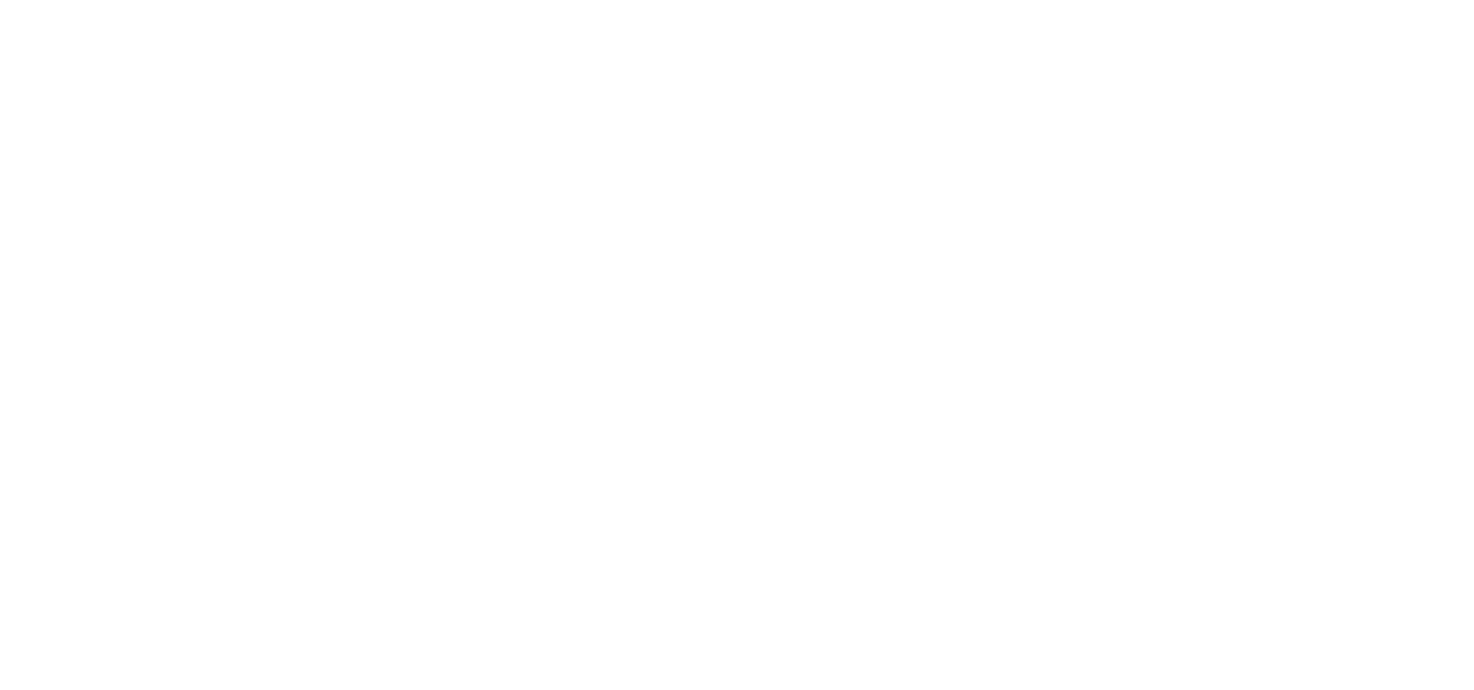 BizSolutionsWHT Logo